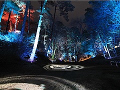 名勝・天龍峡でライトアップイベント、夜の博物館に見立てて自然と文化を紹介、夜市も同時開催