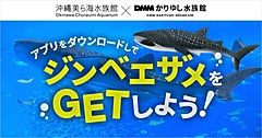 沖縄の人気水族館がタッグ、「DMMかりゆし水族館 × 沖縄美ら海水族館」両館訪問で公式アプリ限定アイテム