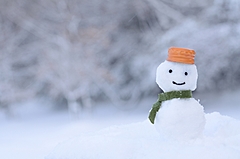 今冬の降雪予想、本格化は北日本が12月上旬、東日本の日本海側は年末年始にピーク