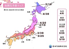 桜の開花予想2022、全国最速は福岡の3月19日、東京は3月23日