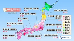 桜の開花予想2022、トップは東京で3月16日、京都・嵐山は3月24日、北・東日本ほど平年より早まる予想