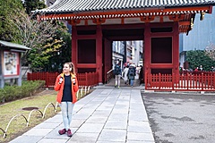 台湾と香港からの訪日客4割が4回以上のリピーター、日本政府観光局が重点22市場で旅行意向を調査