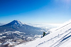 北海道ニセコ、今冬の海外からの宿泊予約が好調、日本の入国制限緩和の報道後に急増