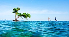 タイ国政府観光庁、観光で環境保全に貢献するプログラム、CO2削減や地産地消を働きかけ