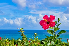 沖縄東海岸で旅先テレワーク、温泉での健康増進やキャンピングカー利用、観光まちづくりの一環で実証
