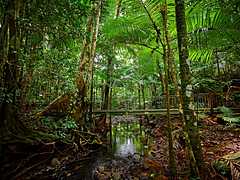 Queensland Tourism restarts promotion to attract Japanese travelers with Jetstar resuming Narita-Cairns services