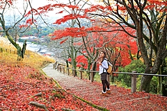 紅葉の見ごろ予測2022、今週末から北日本は本格的な紅葉シーズン入り、京都嵐山は11月23日頃、台風の影響は限定的