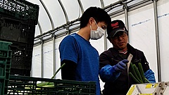 秋田県・八峰町観光協会、都会の若者が田舎で農業で副業生活する体験事業、新モデル構築へ調査も