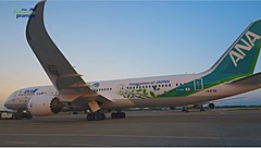 ANA、緑色の特別塗装機「Green Jet」を運航、サステナビリティをテーマに、米国線や国内線で