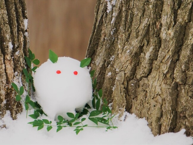 北海道の雪 クリプトン｜雪ミクが北海道を応援するフェスティバル、メインイベント