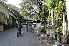 DMOが磨き上げたツアーを体験してみた、静岡・駿河地域の「お茶物語」をサイクリングでめぐる旅