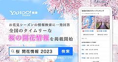 ヤフー、検索結果でお花見情報を拡充、タイムリーな開花情報など地図と合わせて確認可能に