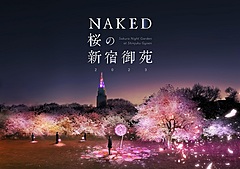 東京・新宿御苑で夜桜イベント、開花状況にあわせてデジタルアート演出、環境配慮でトヨタ車を活用