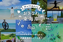 デジタル発想のツアーで実現する「観光まちづくり」とは？　沖縄東海岸の地域とNECが取り組んだ最新事例を聞いてきた（PR）