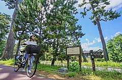 スルガ銀行、自転車でめぐる湘南エリアの旅を促進、自治体・DMOで構成する協議会と連携で