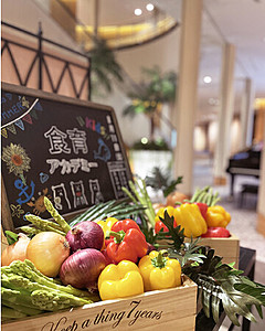 横浜ベイホテル東急、小学生向け「食育」イベント、ホテル総料理長が「味覚の授業」を実施
