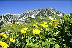 東京から「立山黒部アルペンルート」最高地点を結ぶ直通バス、都内を夜出発、標高2500メートルの室堂に翌朝着