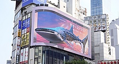 西オーストラリア州、日本からの観光客誘致を強化、新宿・原宿の大型ビジョンで動画広告