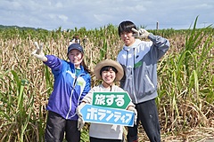 日本財団、「旅するボランティア」募集、25歳以下限定で、若者と地域をつなぐ、旅費は無料