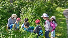 新潟県妙高市、夏休み親子ワーケーションを開催、子どもは預けて地域体験、親は旅先テレワーク