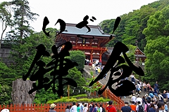 ザ・カハラ横浜、宿泊者向けにバスツアー、大河ドラマ「鎌倉殿の13人」舞台をめぐる、鶴岡八幡宮や長谷寺など