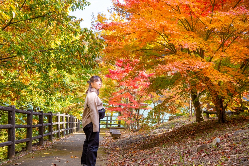 Autumn leaves in Japan are forecasted to start from Daisetsuzan