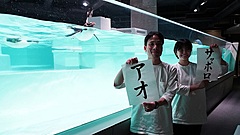 札幌市に都市型水族館「AOAO SAPPORO」開業、目玉はペンギン、市内ホテルや商店街とコラボ企画も