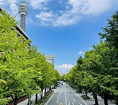 横浜・山下公園通りで初の歩行者天国を実施、みなとみらいエリアをつなぐ次世代モビリティも運行