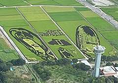 田んぼアート「翔んで埼玉」をヘリ遊覧で上空から、AirX社が企画、1機7万4000円、10月中旬まで