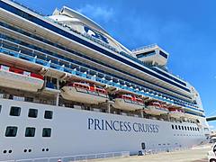 クルーズ客船「ダイヤモンド・プリンセス」の船上体験を取材した、寄港地ツアーは高付加価値体験が人気