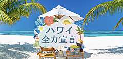 Japan's leading travel agent HIS launches a new service for group travel to Hawaii, proposing a team-building program to corporate travel 