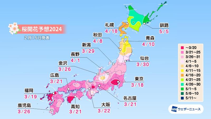 桜開花予想2024、東京は3月18日に前倒し、北海道の桜前線上陸は4月上旬