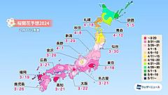 桜開花予想2024、東京は3月18日に前倒し、北海道の桜前線上陸は4月上旬、全国的に平年より早めか