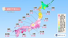 桜開花予想2024、開花トップは3月20日の東京、九州から東海は平年並みに　―ウェザーニューズ