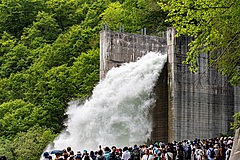 群馬県みなかみ町、3つのダムの「点検放流」でイベント開催、宿泊客らに優先入場も