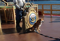 箱根海賊船、愛犬と芦ノ湖めぐるクルーズ運航、リード装着のみで乗船、4月20、21日に