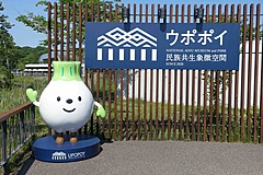 国交省、北海道アイヌ文化振興施設「ウポポイ」への誘客促進戦略を策定、教育旅行やインバウンドなど対応を推進