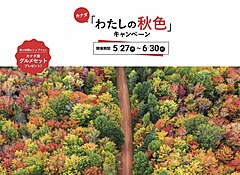 カナダ観光局、秋の魅力を訴求するプロモーション開始、絶景の奥にあるストーリーで多彩な体験を発信