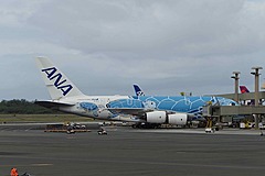ハワイで存在感を増すANA、旅客数でGW期間はJAL抜き、マイル経済圏の拡張など現地の取り組みを取材した