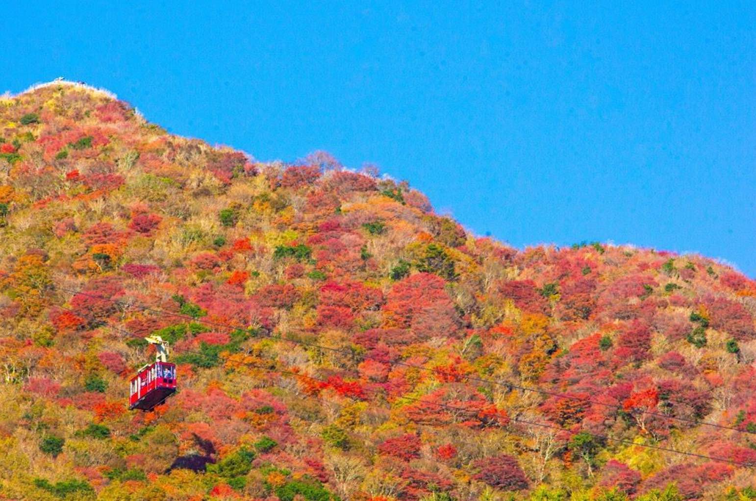 e7d5b358-b986-4581-9964-