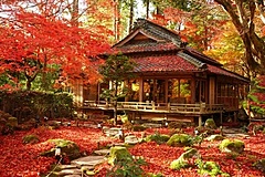 ウィラー、訪日客向けに紅葉楽しむ日帰りツアー、日光、香嵐渓、近江八幡など5プラン、専用チャーターバスで