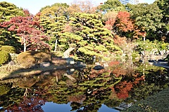 皇居外苑で貸切プレミアム体験イベント、野点体験など3時間10万円、東京・千代田区が開催