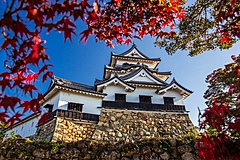 滋賀県「彦根城」の世界遺産登録へ、イコモス事前評価の結果公表、「大名統治システム」示す複数物件まとめる提案など