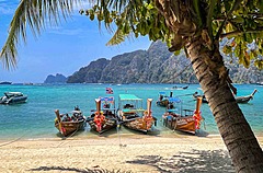 タイ・ピピ島、ダイビング禁止スポットで、観光客受け入れを再開、サンゴ礁の復活で