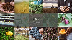 山形県河北町に、地域の農産物をテーマにした新ホテル開業、イタリア野菜の名産地で町をまるごと体験