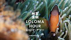 フィジー政府観光局、日本市場向けに1時間でできる持続可能な旅行体験プログラムを提供、ホテルで予約、4つのテーマで