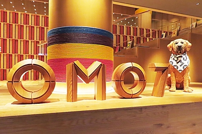 ホテルスタッフが地域と観光客をつなぐ、星野リゾート「OMO7高知」の宿泊体験を現地で取材した