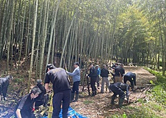 東武ホテル、沿線で放置された竹林整備で、オリジナルの「純国産メンマ」製造、都内ホテルで販売