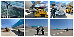 大韓航空の子会社、羽田空港でグランドハンドリング業務開始、新千歳空港に続き業務拡大