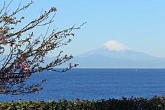 京急と三井不動産、新たなリゾートエリアを神奈川県・三浦半島で創出、ホテル事業計画を共同で